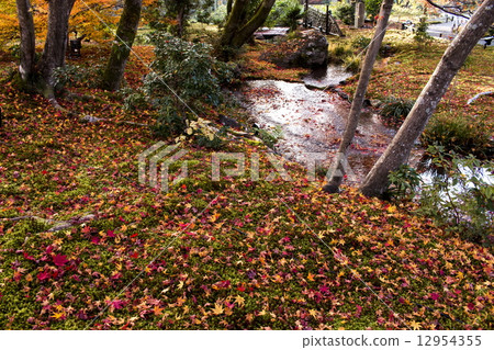 百川的動態秋葉 百川的動態秋葉 12954355