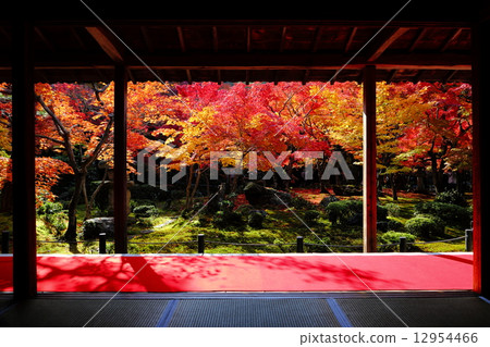 Shokoji Temple 12954466