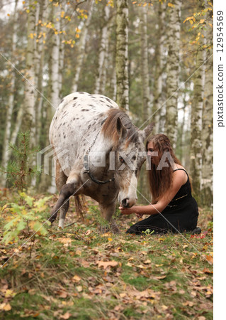 Beautiful girl with nice dress standing next to nice horse 12954569