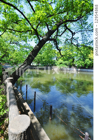 Himonya Park 12954868