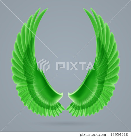 Inspire wings 12954918