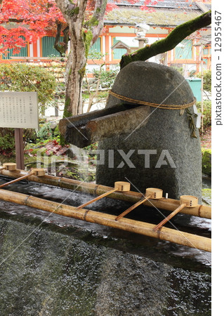 Kamiyama spring spring Kamiyama spring spring 12955467