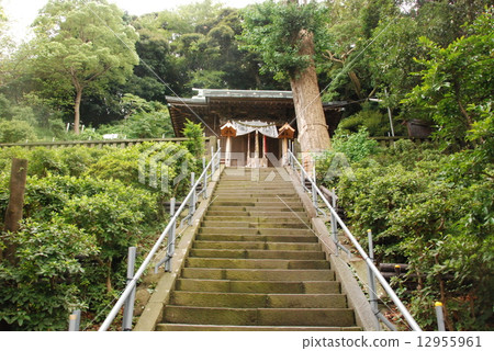 自來水神社（神奈川縣橫須賀市自來水） 12955961