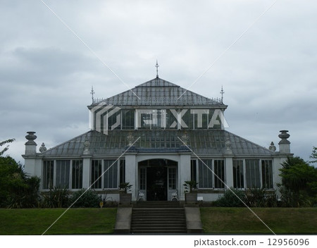 Queen Garden 12956096