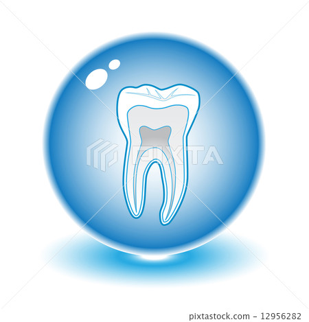Vector tooth illustration Vector tooth illustration 12956282