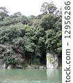 河流和綠色 12956286
