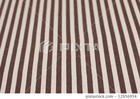 條紋布 12956954