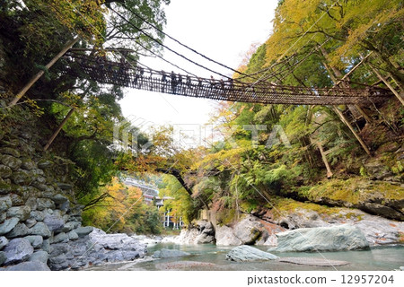 Kazura Bridge in Iya 12957204
