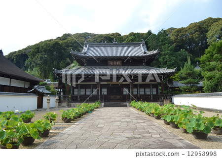萬福寺 12958998