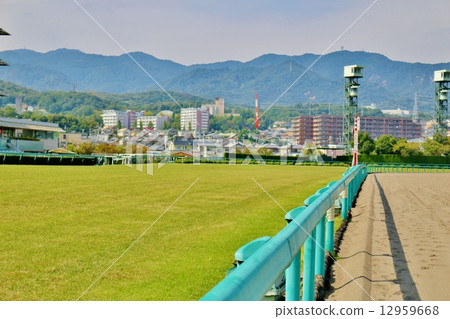 阪神賽馬場 12959668