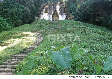 Palenque ruins 12959707