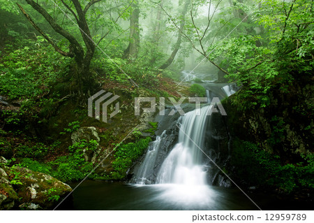 淡水落下 12959789