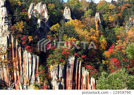 Red rocky skin 12959790