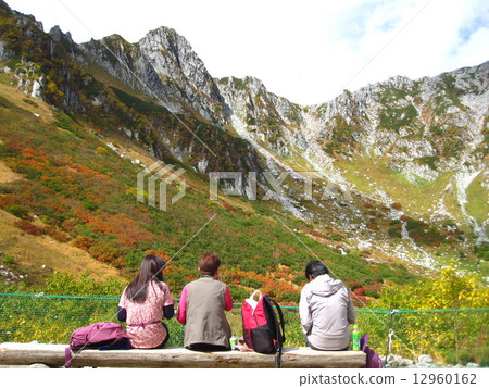 Senjakiken curl in autumn Senjakiken curl in autumn 12960162