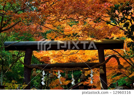 Nomiya Shrine 12960316