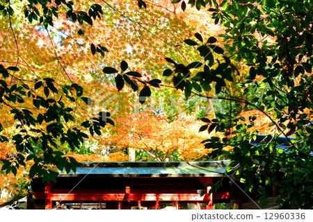 Nomiya Shrine 12960336