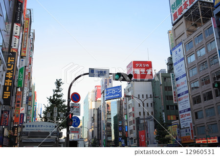 新宿歌舞伎町 新宿歌舞伎町 12960531