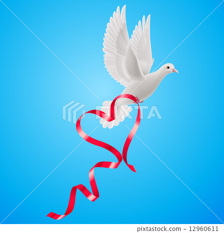 Dove 12960611