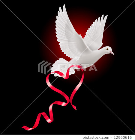 Dove 12960616