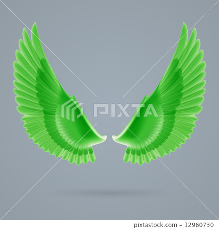 Inspire wings Inspire wings 12960730