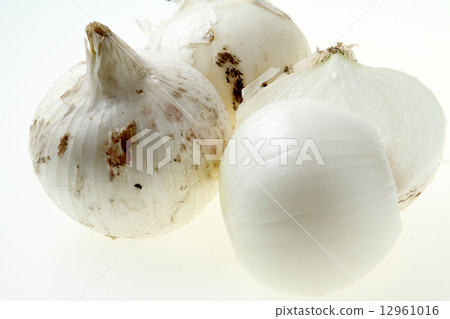 New variety White onion 12961016