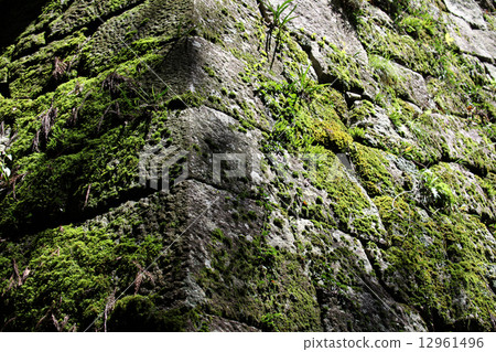 Stone wall 12961496