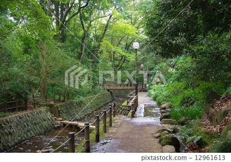 Todoroki Valley Todoroki Valley 12961613