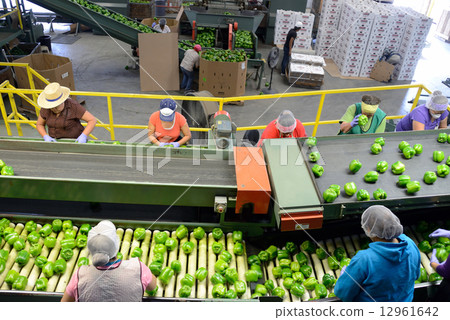 美國Pablika工廠 12961642