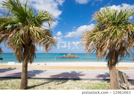 Beach / Alajah Beach in Okinawa Beach / Alajah Beach in Okinawa 12961663