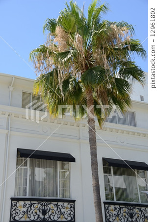 America Beverly Hills Rodeo Drive 12961802