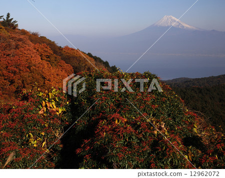 Mt. Fuji from Daliyama 12962072