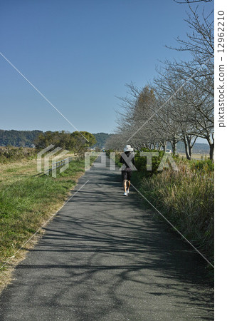Runner running in the Seirinuma bike path 12962210