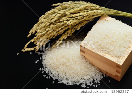 Images of autumn Rice, rice and cells 12962227