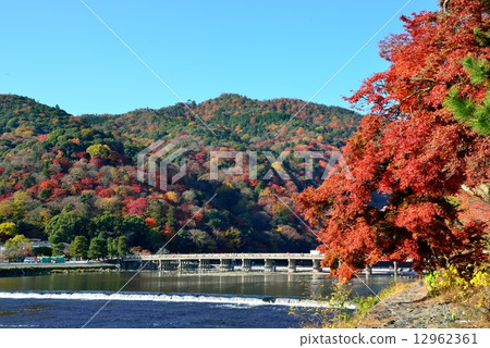 Red leaves Togetsu bridge of Arashiyama in Kyoto 12962361