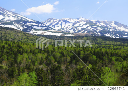 Hikkaido Biei Town Tokachi dake mountains and fresh green seas 12962741