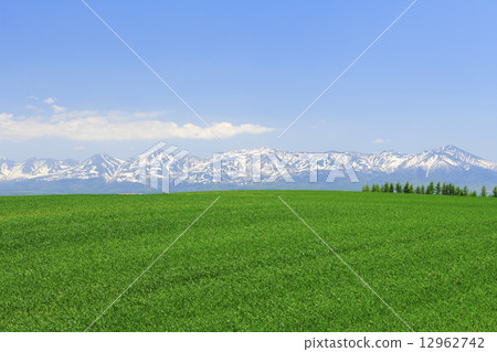Hokkaido Biei-cho Wheat field and Tokachi dake mountains 12962742