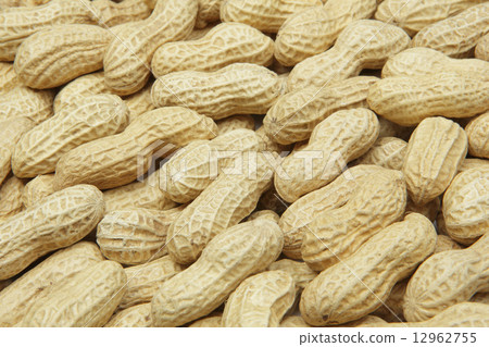 peanuts  12962755
