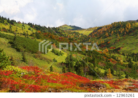 Yamada Toge autumn leaves 12963261
