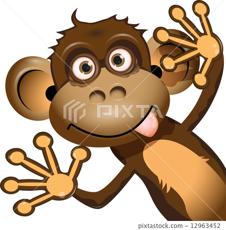 funny monkey funny monkey 12963452