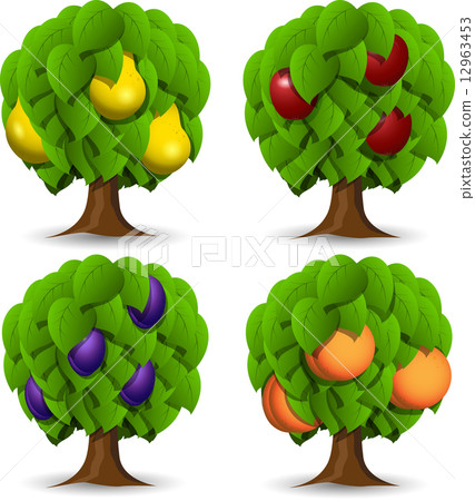 fruit trees 12963453