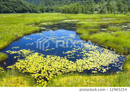 Oze Ikutan Oze Ikutan 12965254