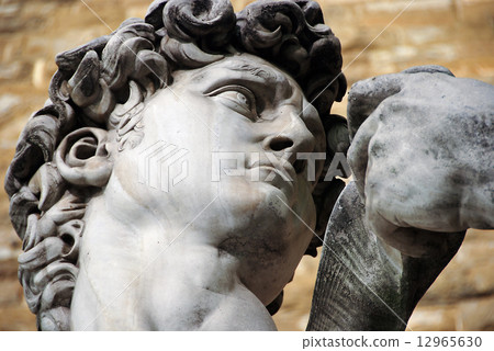 Sculpture of David, Michelangelo, Florence, Italy 12965630