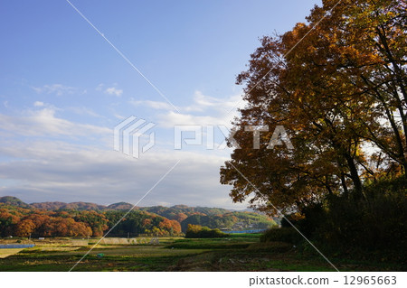 秋天的鄉村風景·漂亮的空氣 12965663