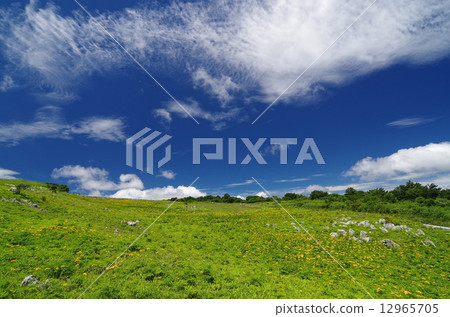 Shikoku karst 12965705