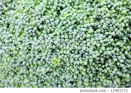 broccoli broccoli 12965731