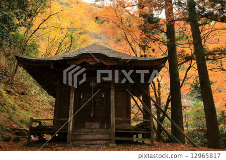 Horaiishi秋葉 12965817