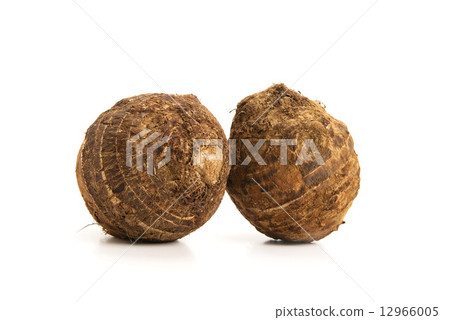 Celebes Celebes 12966005