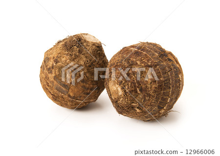 Celebes Celebes 12966006