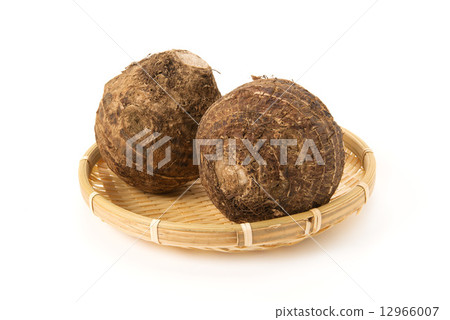 Celebes Celebes 12966007