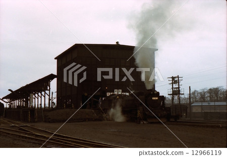 煤炭飼料中的D51北海道官方代理區昭和50 12966119